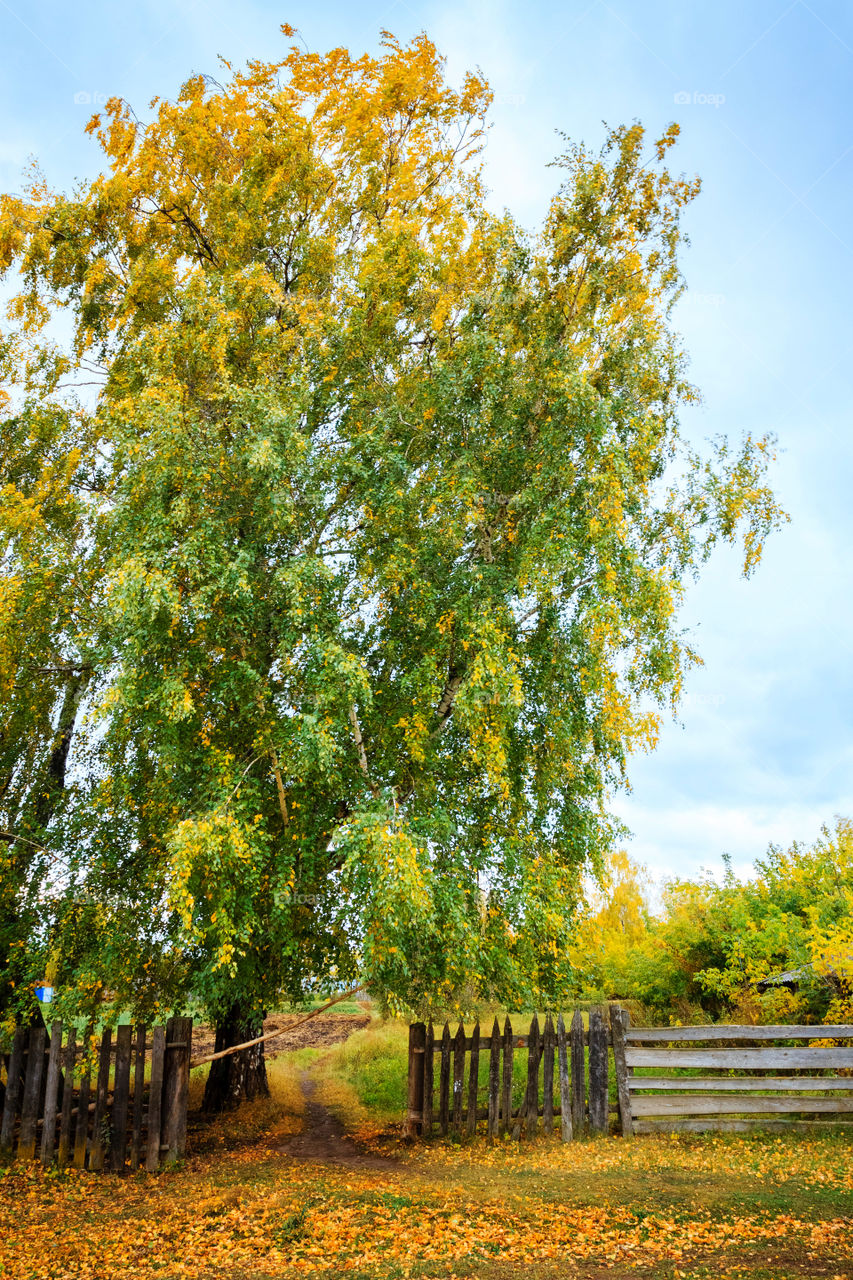 Autumn in the countryside