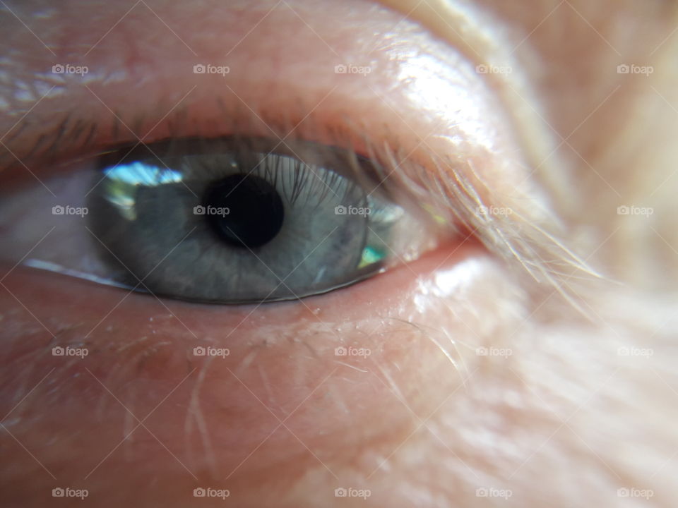 the human eye is fascinating
macro lens