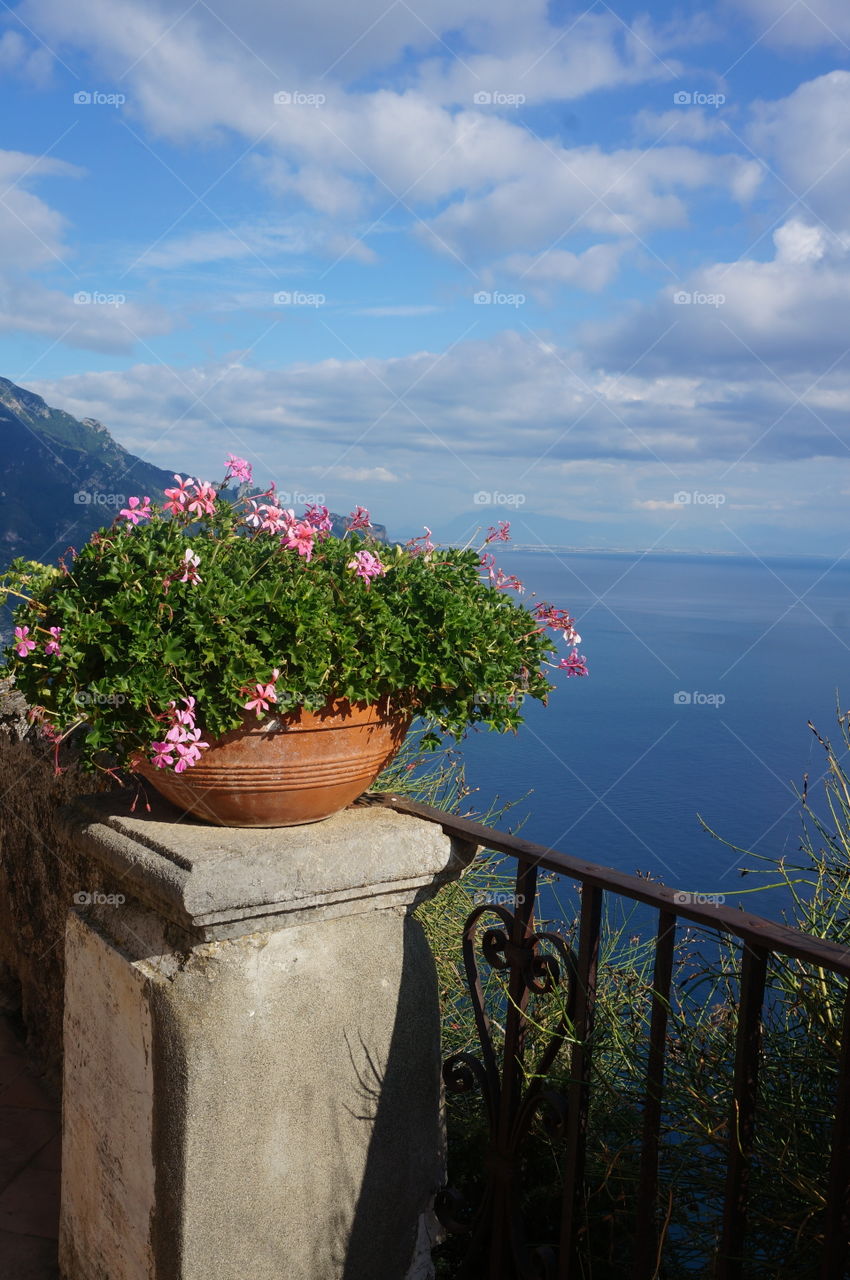 Nature and it's shades