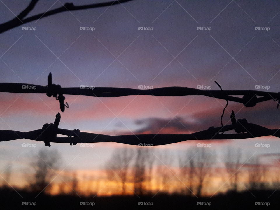 Evening walks at sunset.