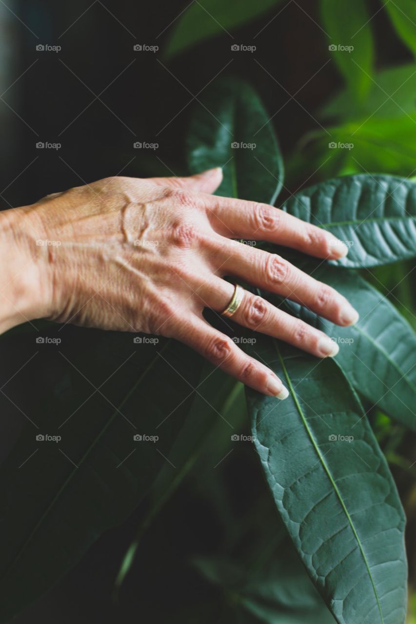 aging hands 