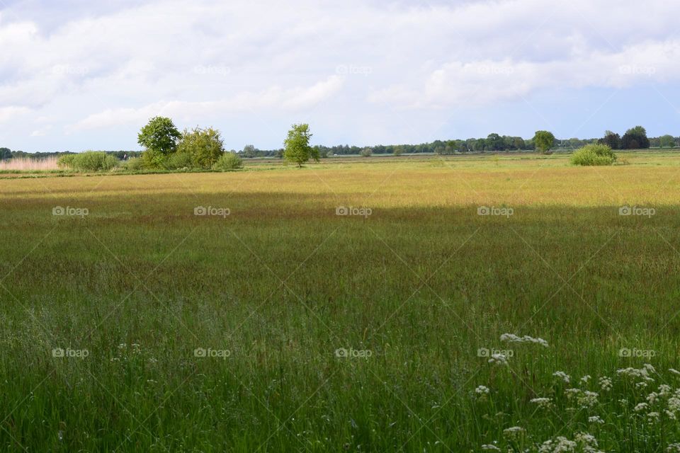 Wiesenlandschaft am Süd - Nord - Kanal