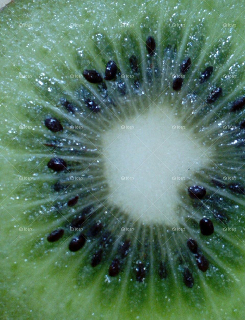 Kiwi Close-up