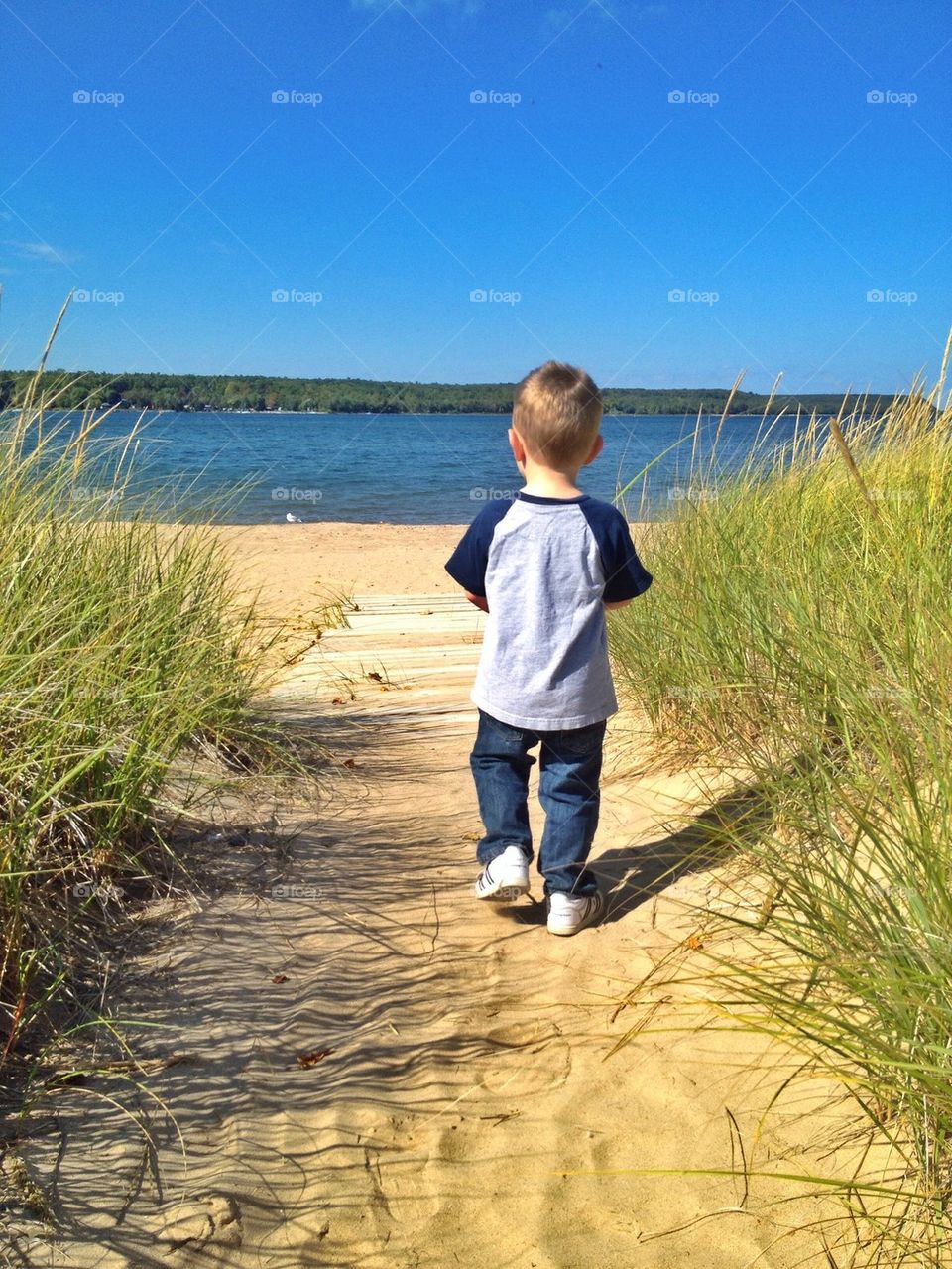 Rear view of a boy on beach