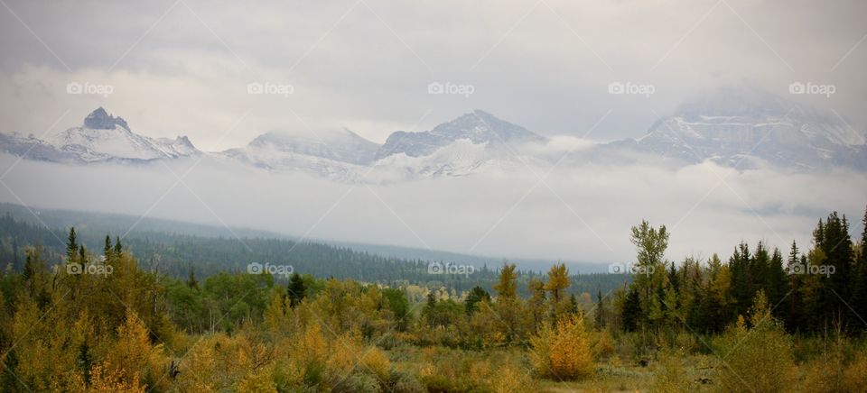 Low lying clouds obscuring the mountains near Waterton National Park, Alberta
