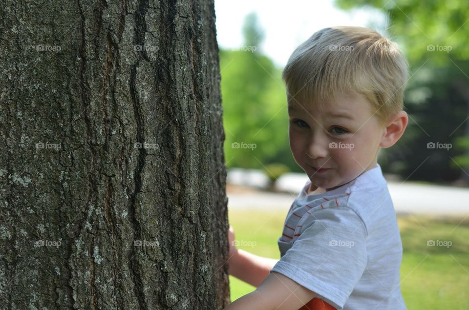 Tree hugger