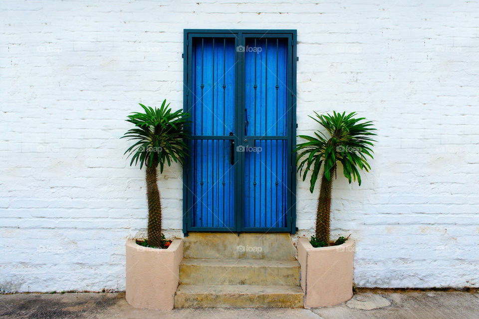 blue wall tree palm by kbuntu