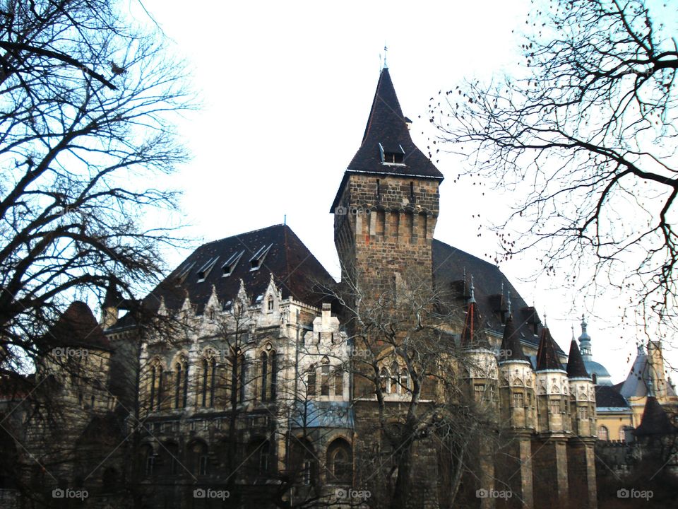 Vajdahunyad Budapest Castle