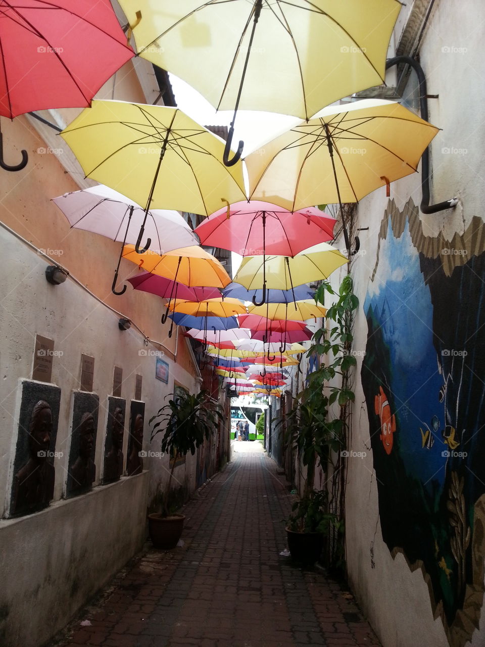 Chinatown in Kuala Terengganu. umbrella lane