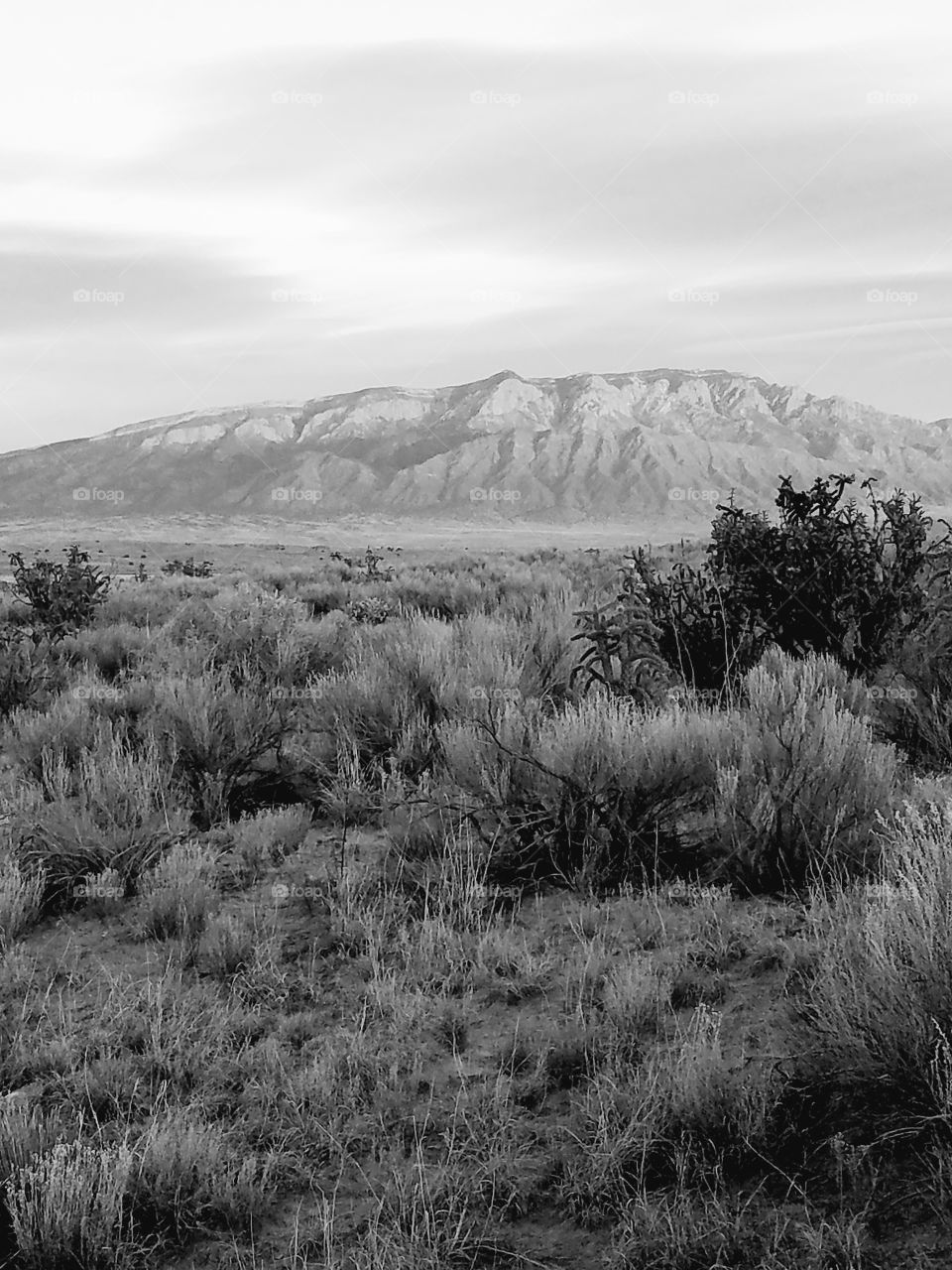 View of the Sandia Mountain