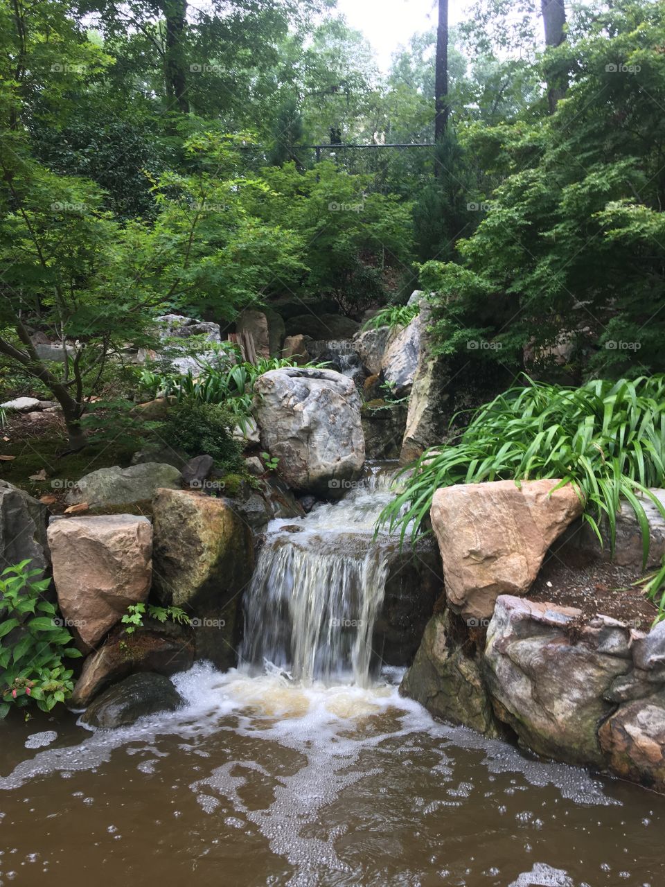 Sarah P Duke Gardens, Durham, North Carolina