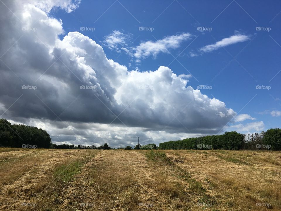 A cloud dragon swooping over an English field