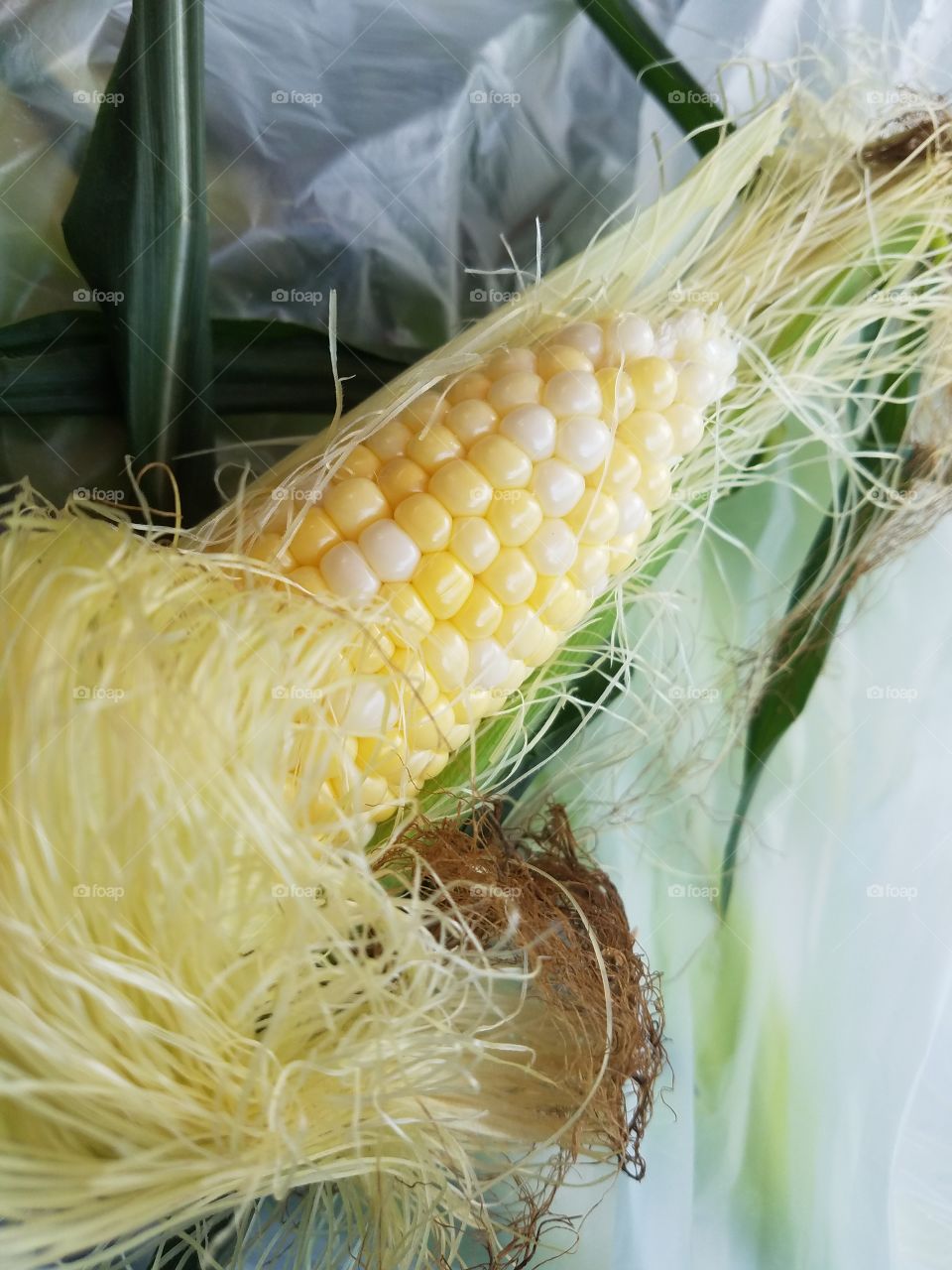 sweet corn