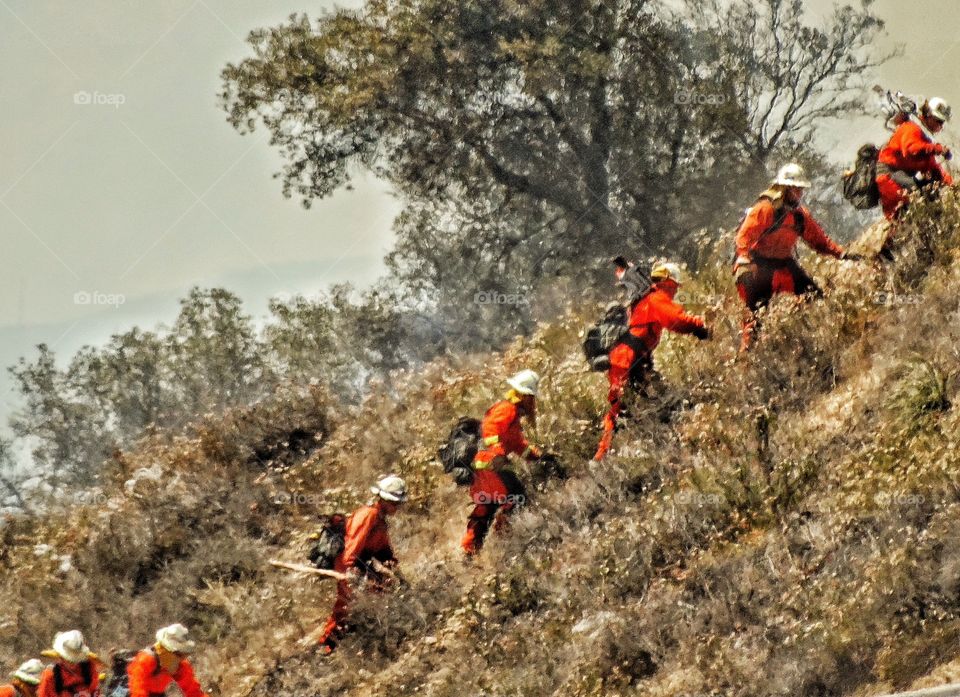 Heroic Firefighter. Firefighters Battling A Blaze In California Desert
