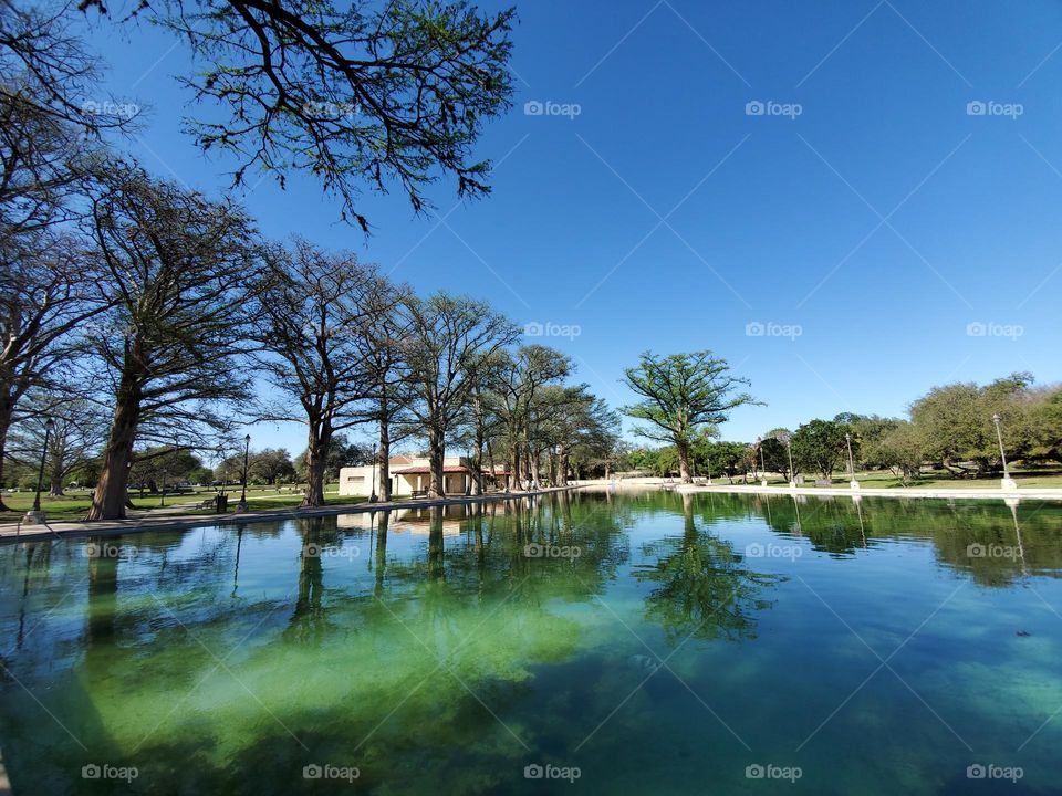 A spring fed pool shaded by a line of towering old cypress trees with sunlight subtlely illuminating the water while simultaneously creating a reflective mirror of nature.