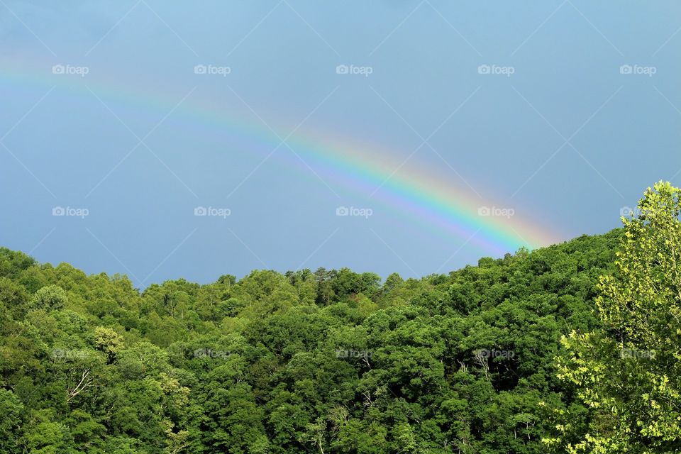 Lake Cumberland Rainbow