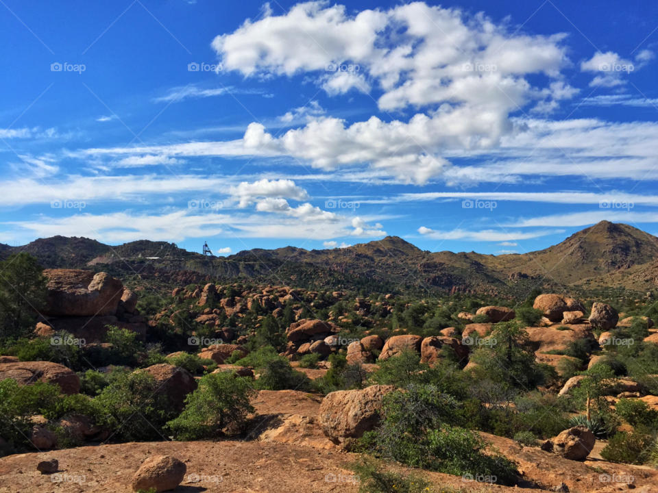 Desert Landscape . Arizona Desert in Superior, AZ