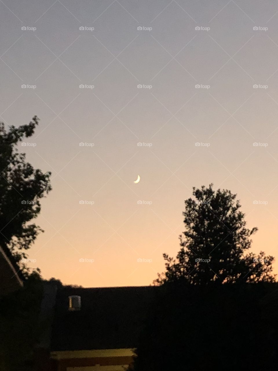 The moon as the sun sets