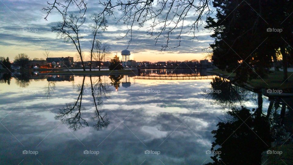 Tree, Winter, Water, No Person, Landscape