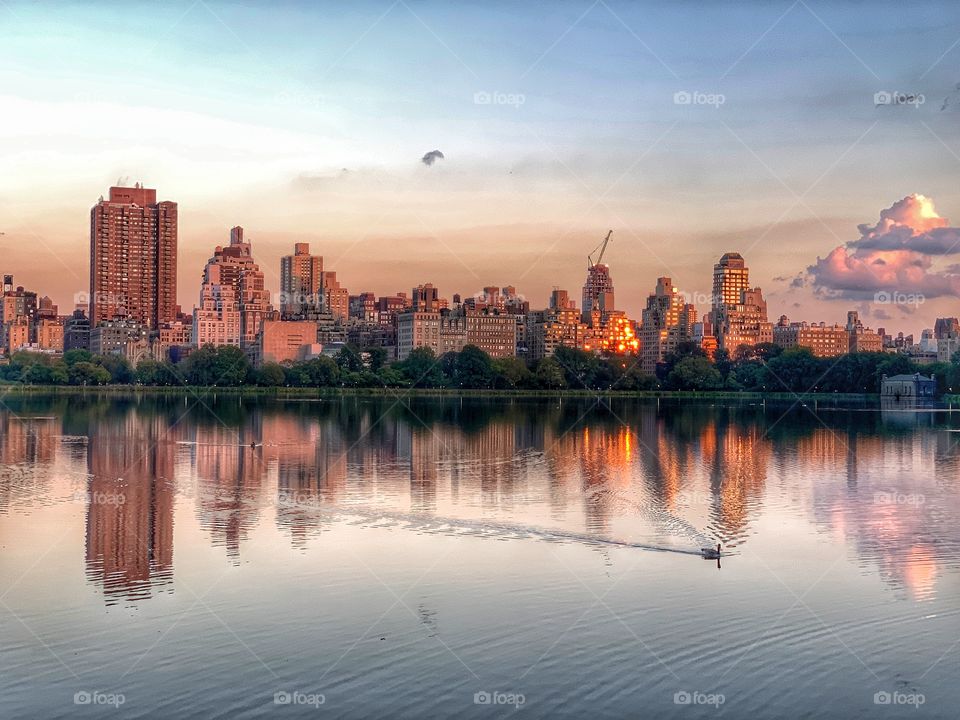 Reflection of sky, clouds, trees , buildings, sunset in reservoir. Sundown in New York City. Duck swimming. 