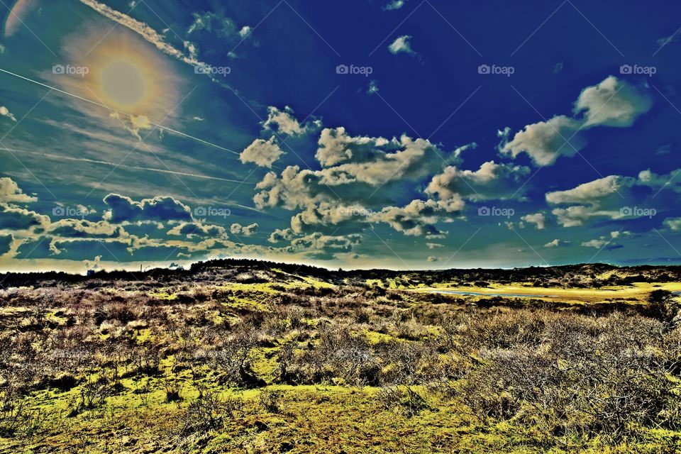 The Nikon D3300 effect modes
landscape dutch dunes