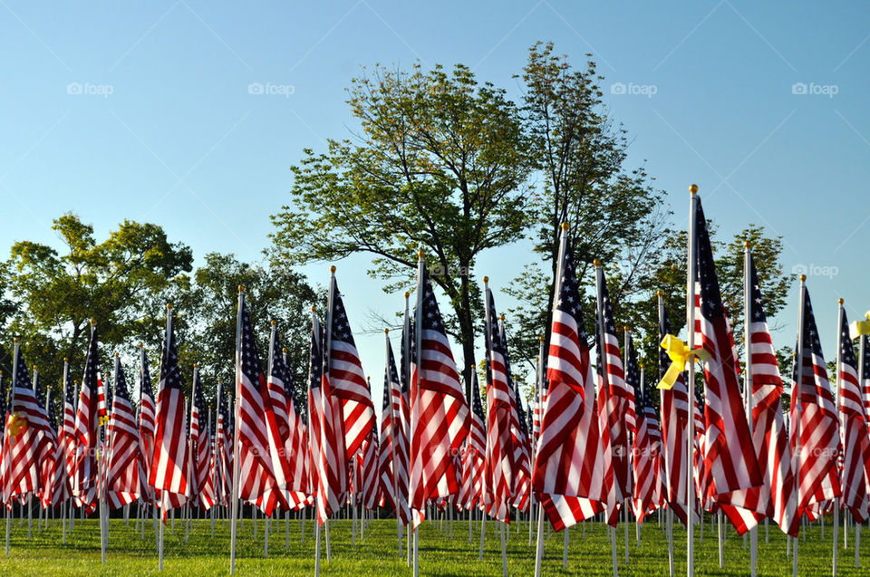 Flags