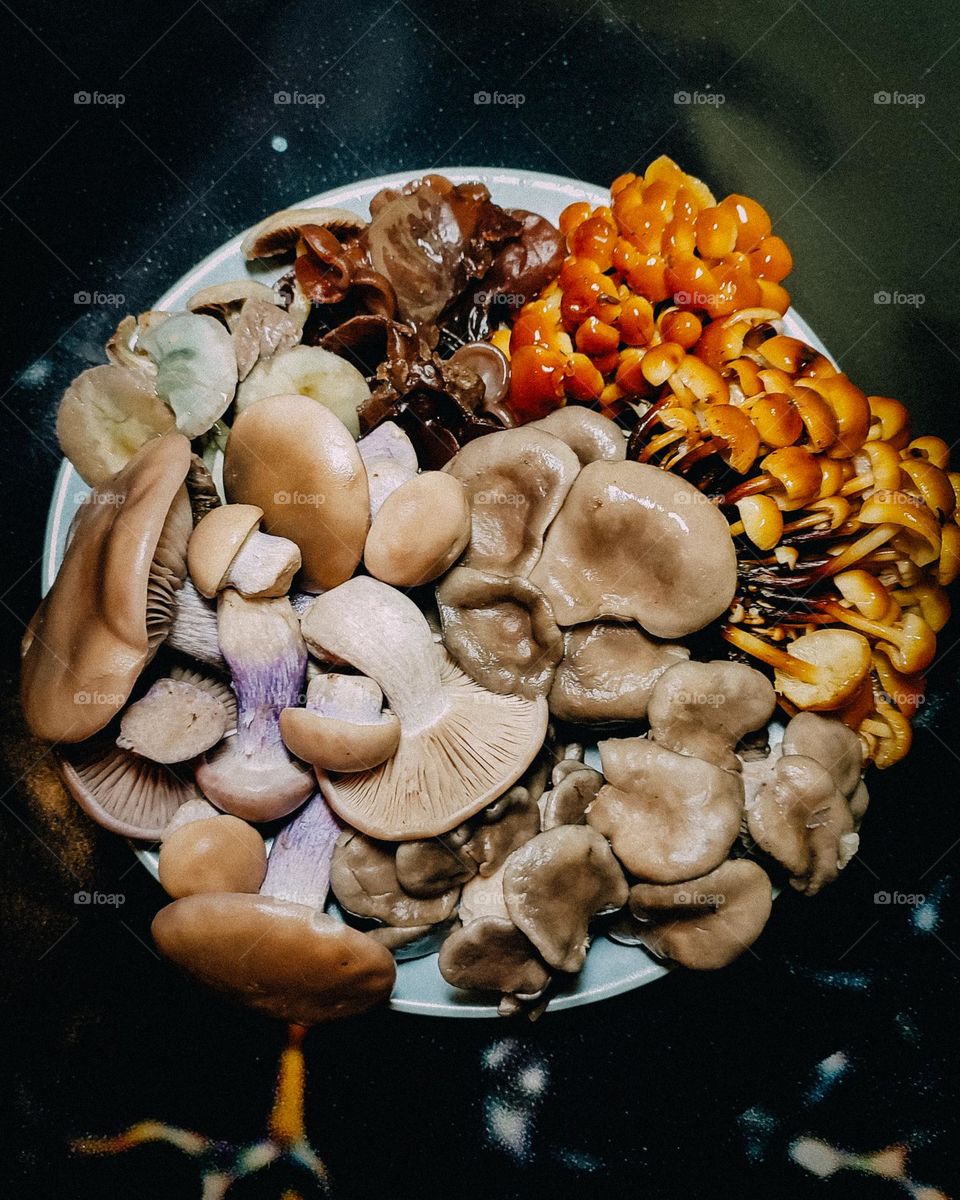 Plate of different edible mushrooms