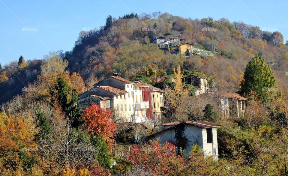 Ancient village in the wood.
