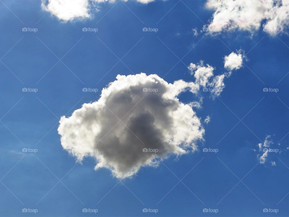 Dog faced cloud