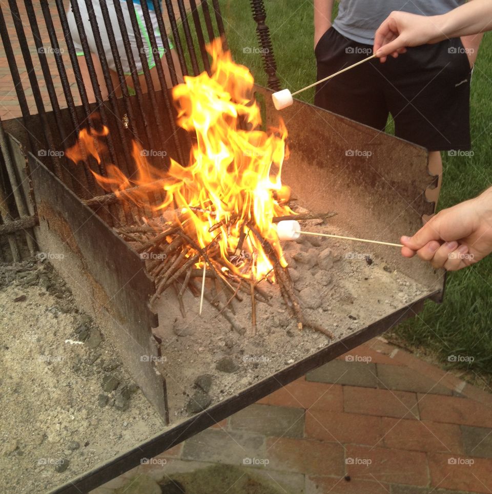 Roasting marshmallows . Roasting marshmallows over the fire