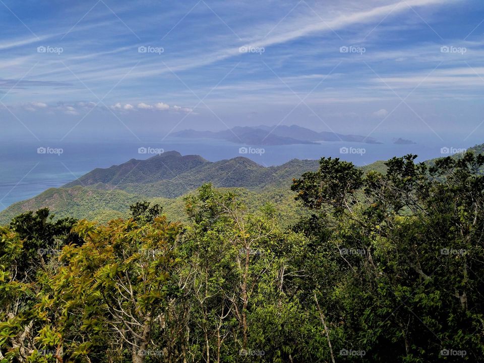 The forest on the mountain and beside the sea.