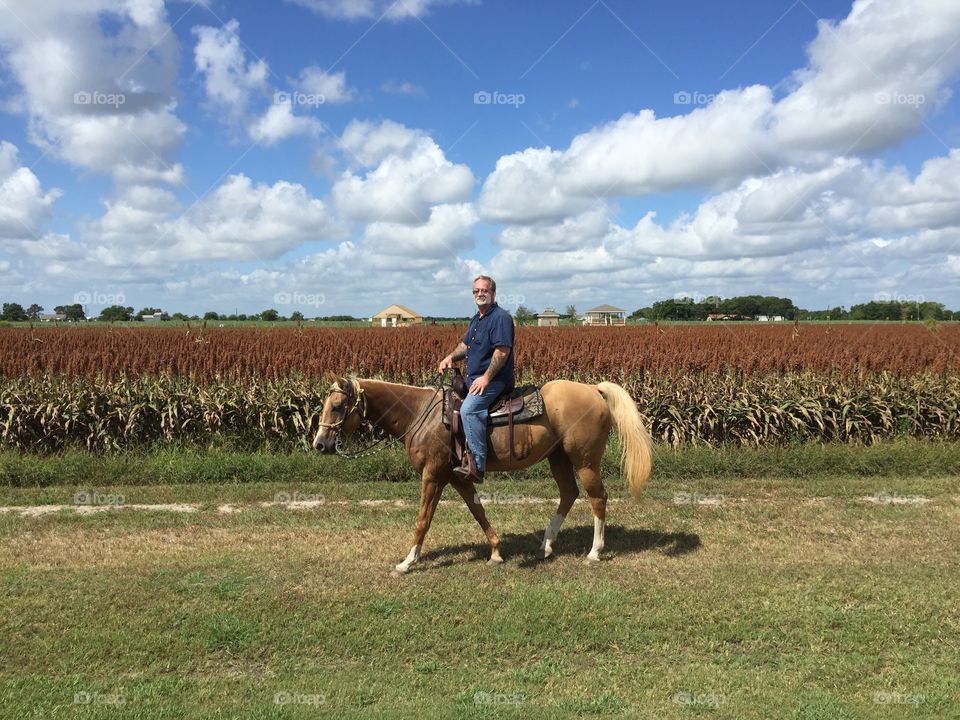 Horseback riding by a hay field
