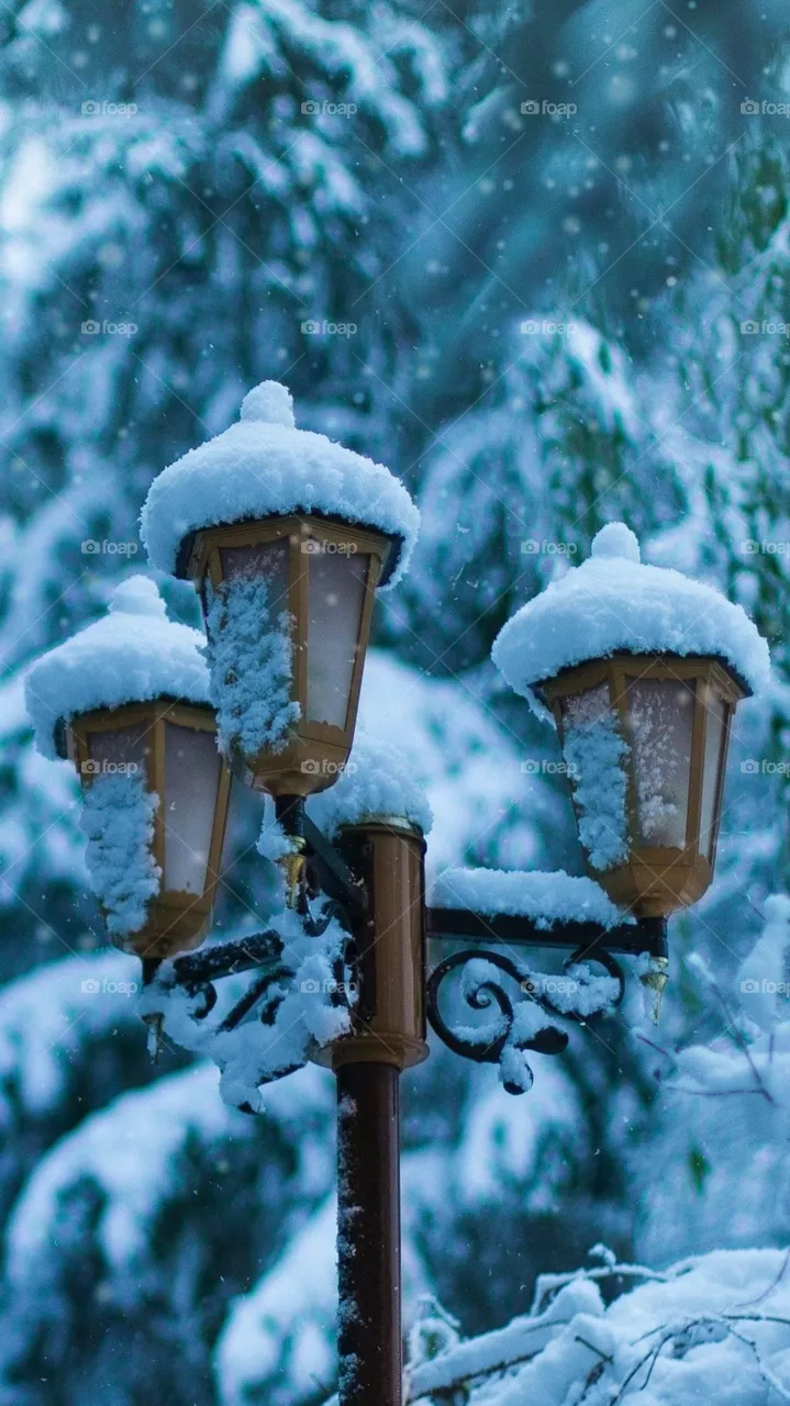 Winter 