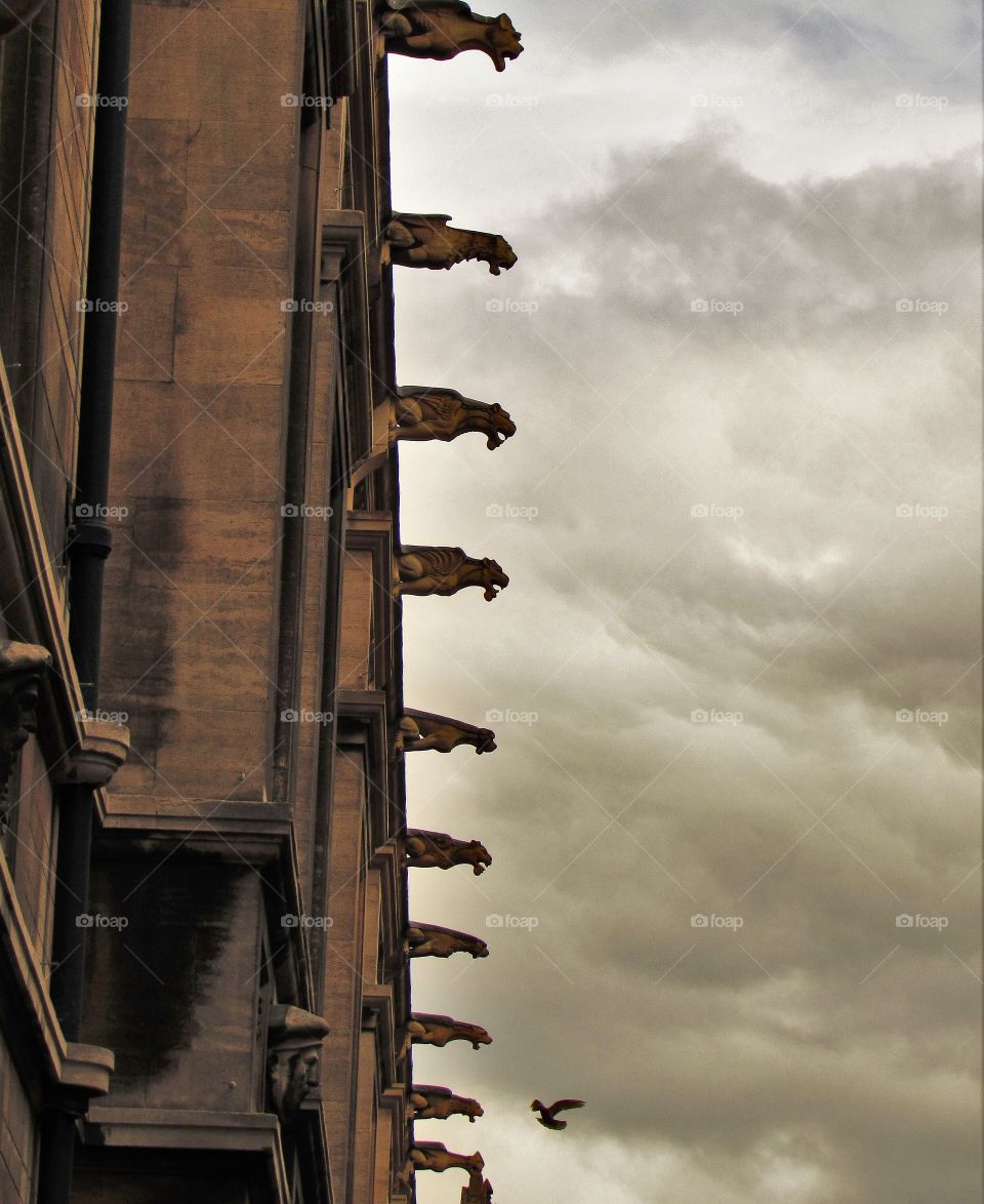 Gargoyles