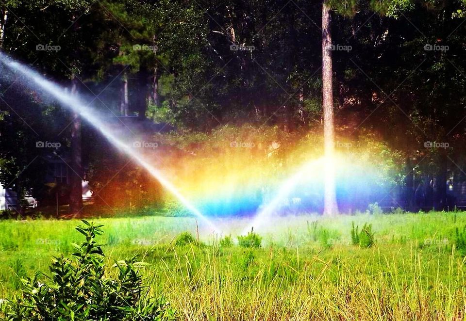 Rainbow Sprinkler