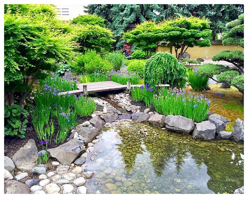 Japanese Garden 