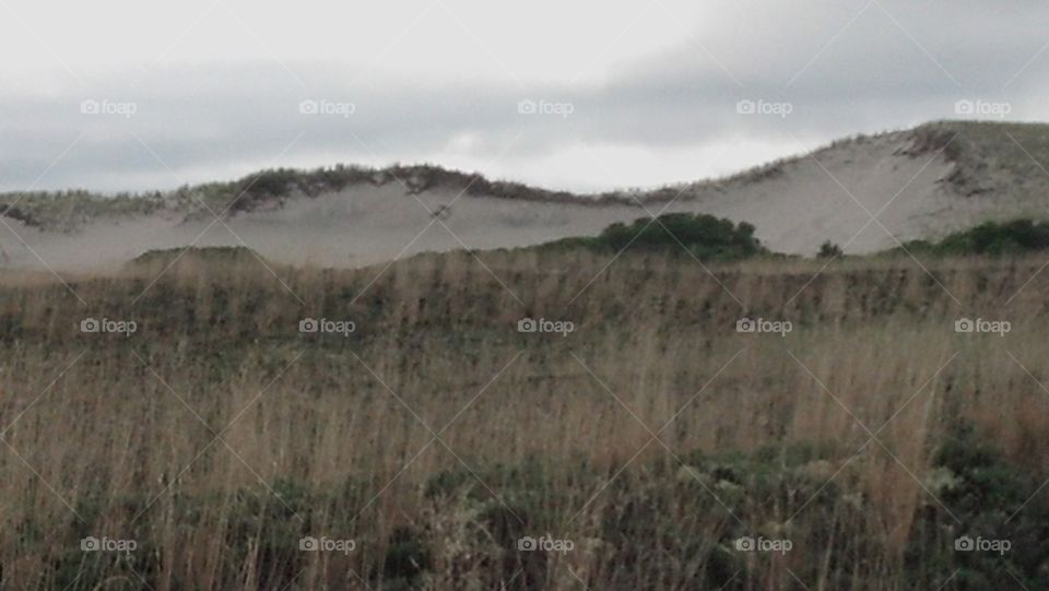 dunes 