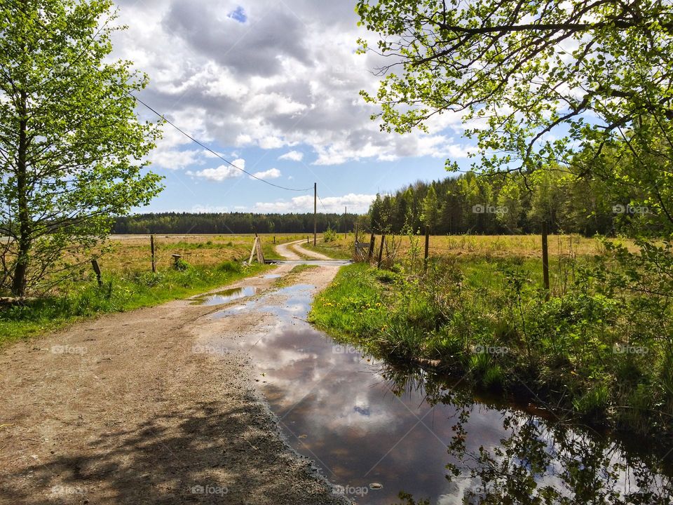 Puddle on dirt road