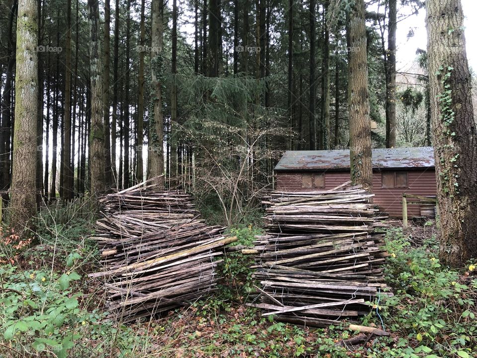 A scene from Stover Country Park, Newton Abbot, UK it might be winter, but the countryside always looks great all year round.