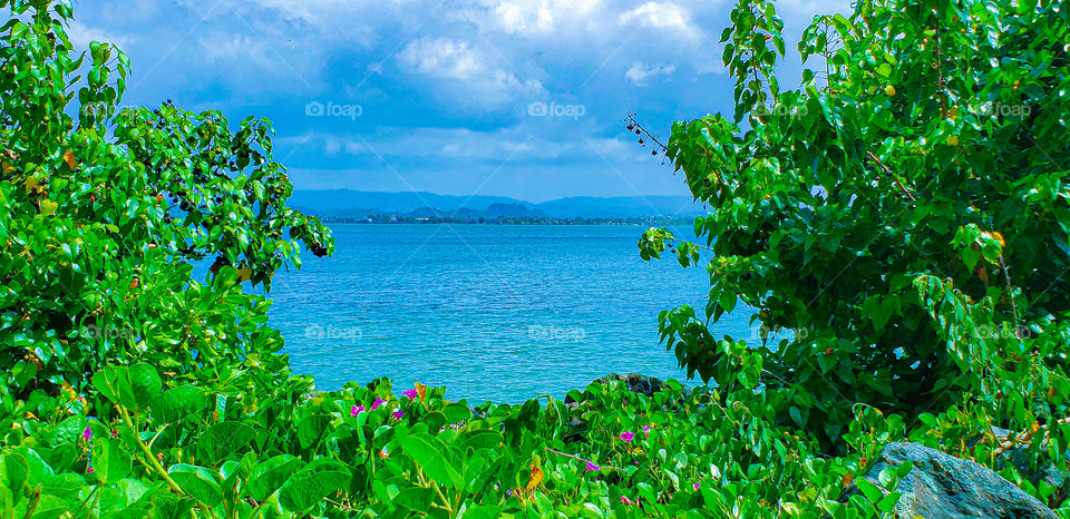 Puerto Rico View of the ocean