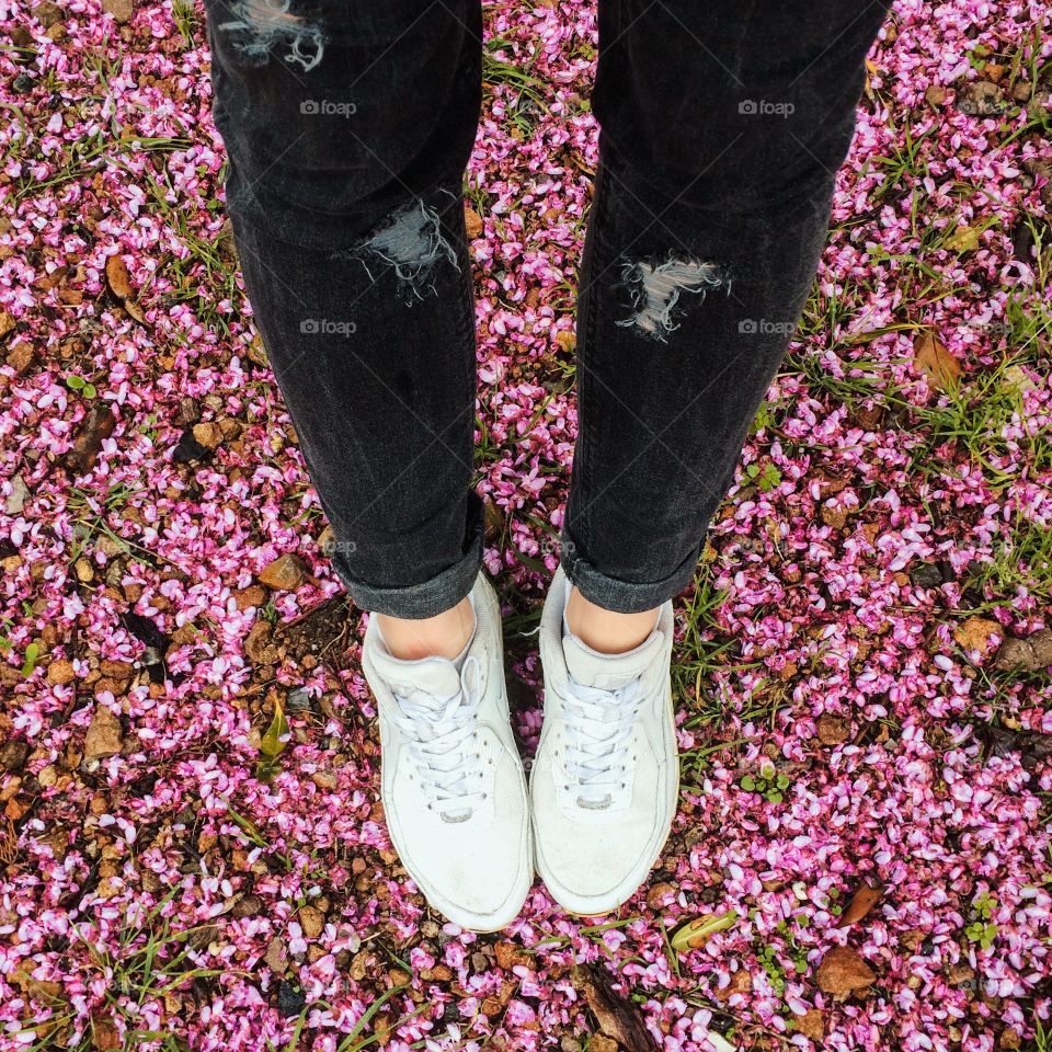 Legs and flowers