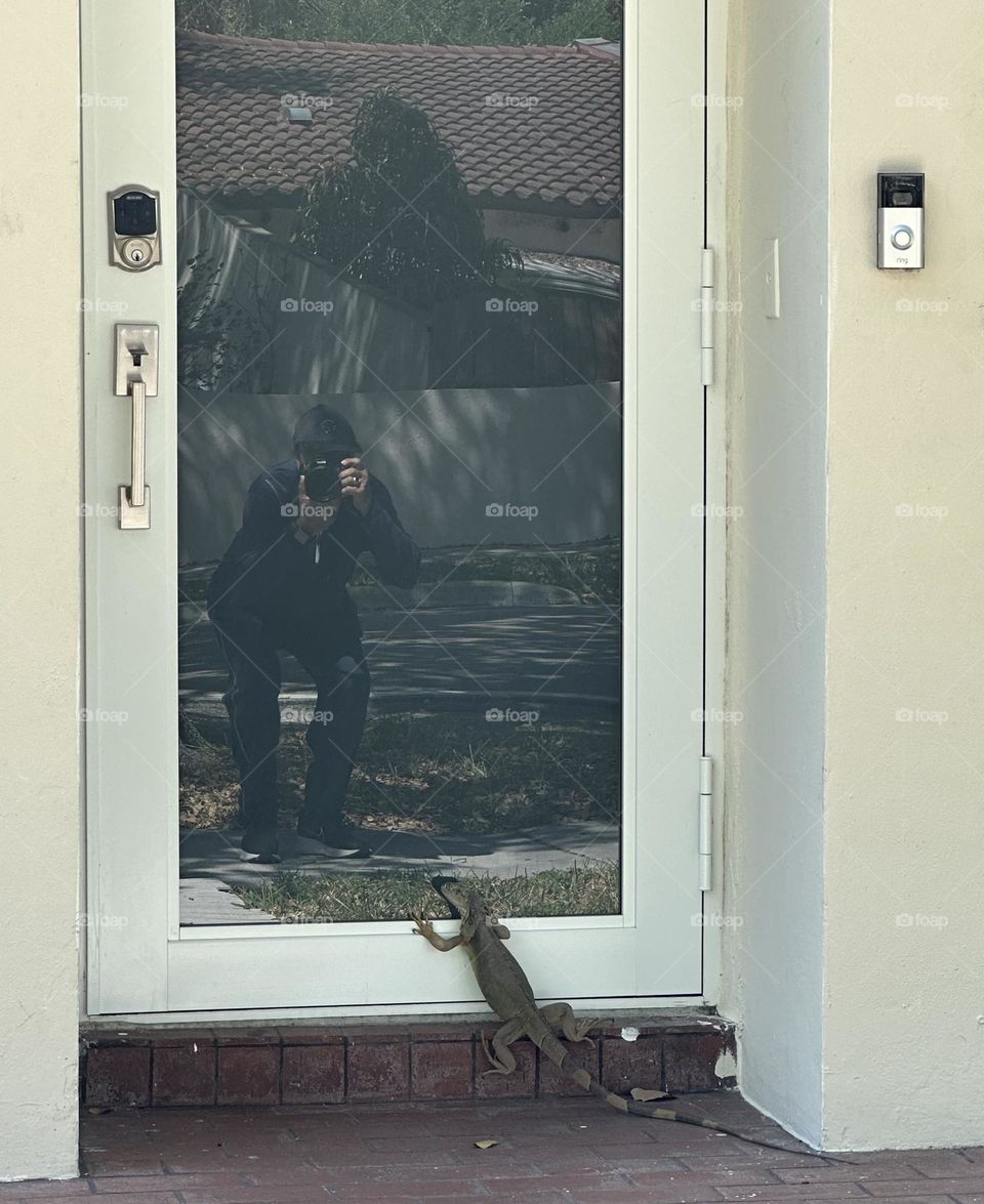 Unwanted guest - Geometry is a type of math that deals with points, lines, shapes, and surfaces.
Examples are Circles, Rectangles, and Triangles. A rectangle is a closed 2-D shape, having 4 sides, 4 corners, and 4 right angles (90°).