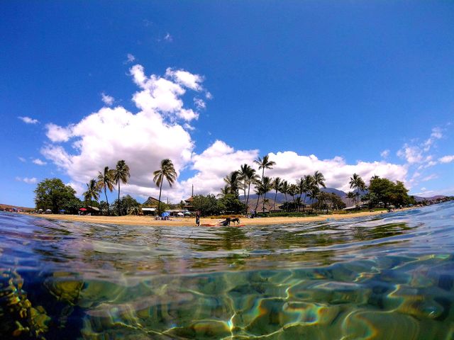 Island