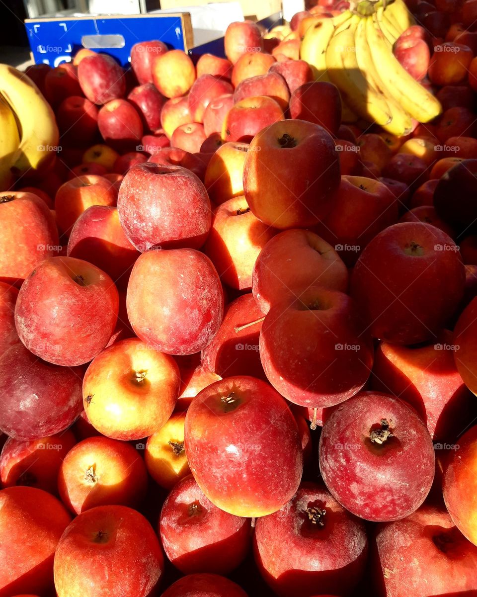 Fresh red apples stacked in a Marrakech market under sunlight, with glimpses of bananas in the background. The photo was taken on February 8, 2025.