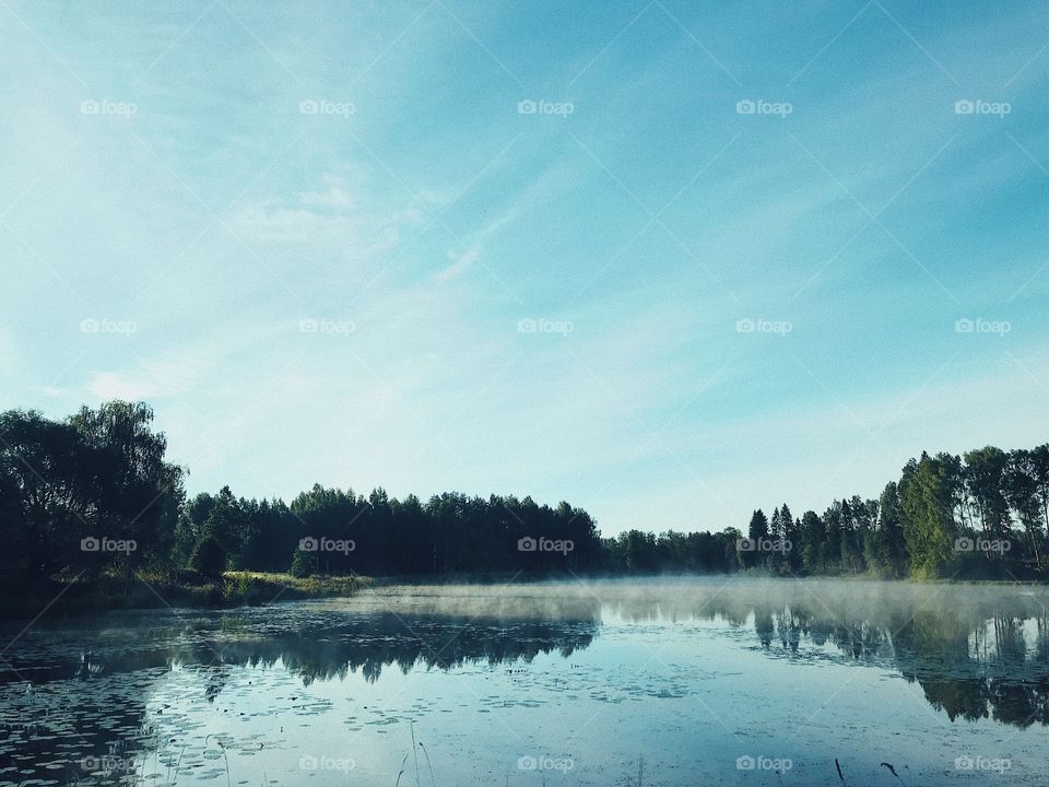 Summer landscape beautiful morning lake view 