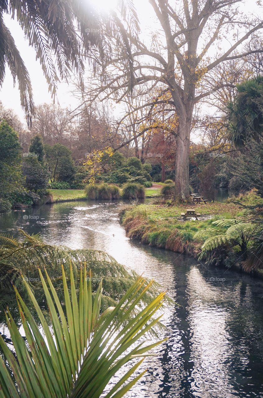 The Avon River winding through the beautiful Christchurch Botanic Gardens, New Zealand 