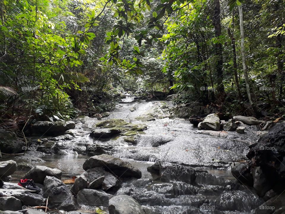 Plans around us: This is a photo of an unspoiled natural landscape