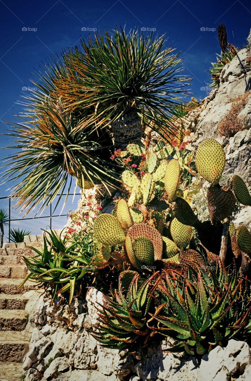 Eze. French Riviera 