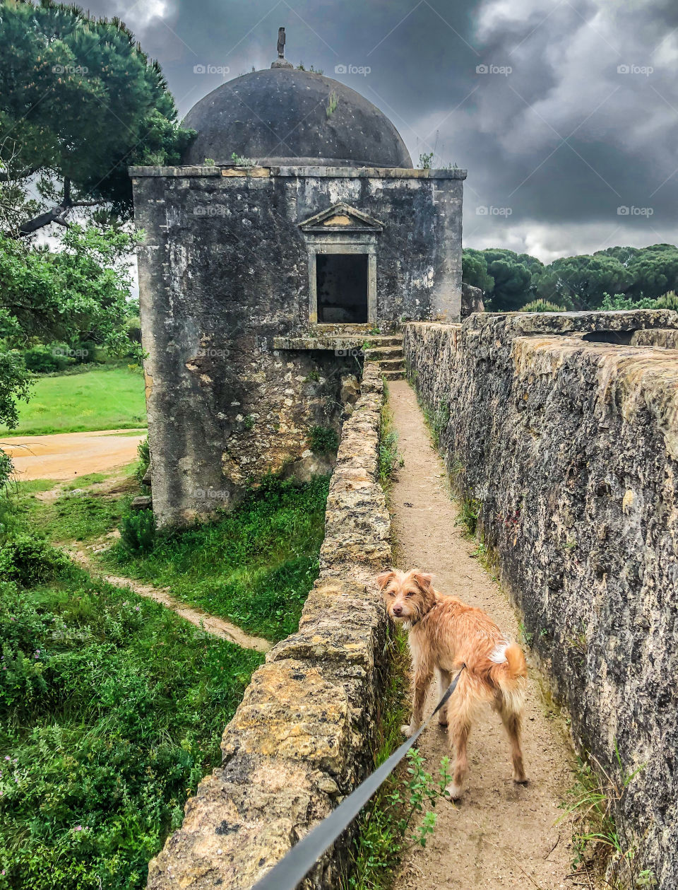 Walking the dog along an ancient, stone aqueduct on a cloudy morning