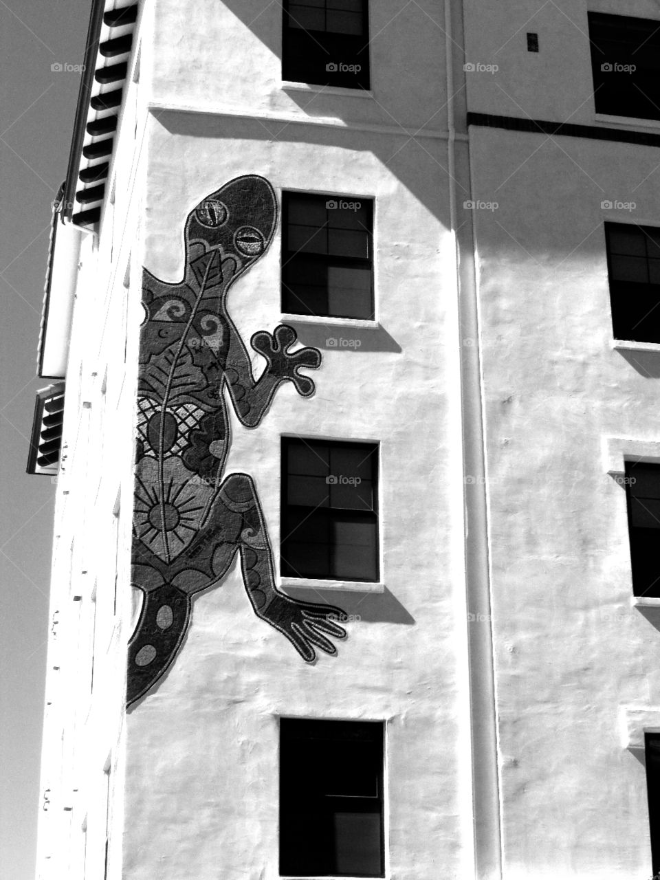 black and white architecture. walking in my neighborhood taking pictures